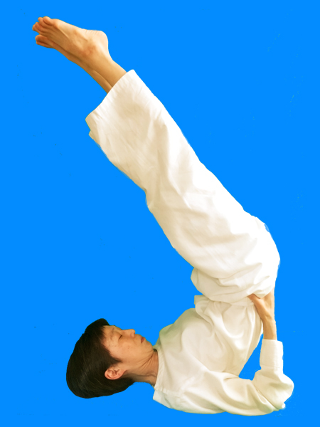 アーサナ（体位法）